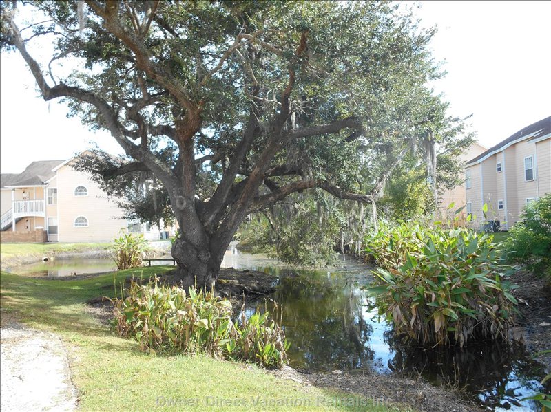  vacation rentals united states florida kissimmee  n poinciana blvd 