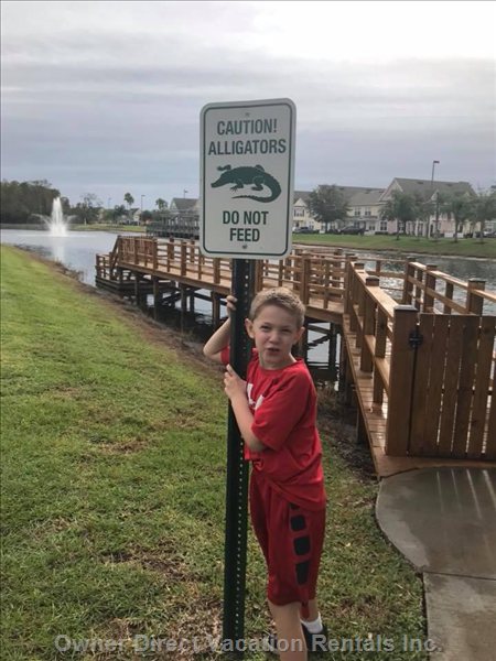  vacation rentals united states florida kissimmee  santa maria drive  