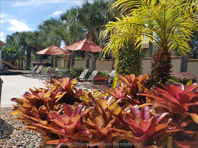  vacation rentals united states florida davenport  la mirage st  