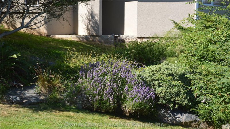  vacation rentals canada british columbia victoria  parker ave 