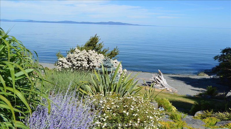  vacation rentals canada british columbia victoria  parker ave 