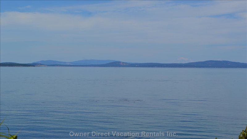  vacation rentals canada british columbia victoria  parker ave 