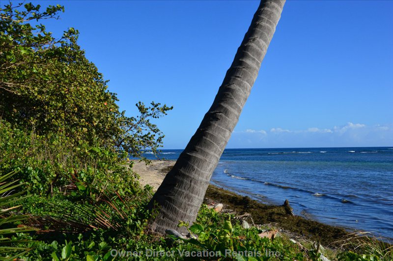  costambar vacation rentals vacation rentals dominican republic puerto plata puerto plata 
