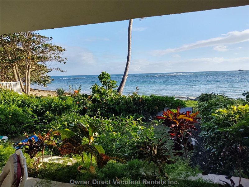  costambar vacation rentals vacation rentals dominican republic puerto plata puerto plata 