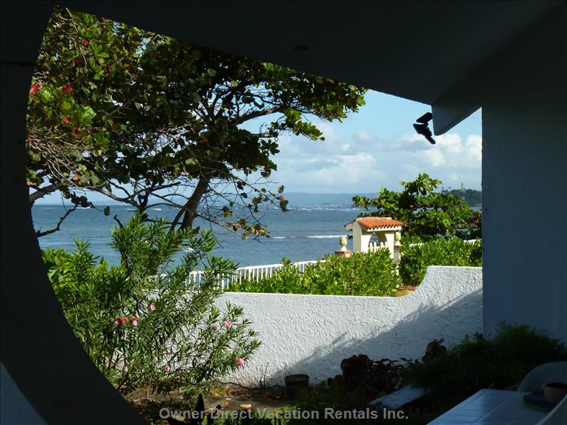  costambar vacation rentals vacation rentals dominican republic puerto plata puerto plata 