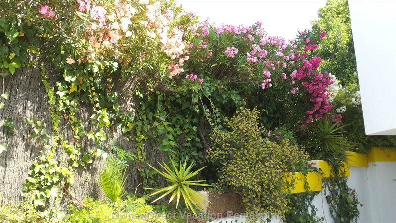  la gaspara vacation rentals vacation rentals spain andaluca estepona 