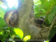  vacation rentals costa rica provincia de puntarenas esterillos oeste canada hill 