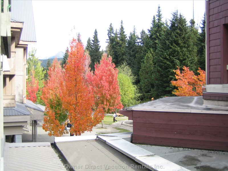  market place lodge vacation rentals vacation rentals canada british columbia whistler 