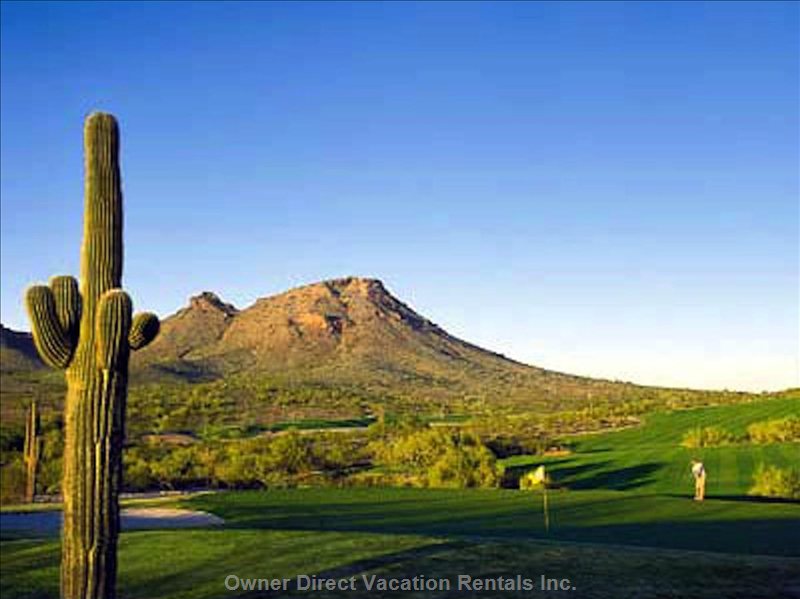  vacation rentals united states arizona phoenix  n cave creek rd 