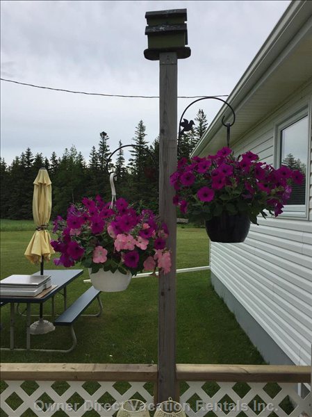  greenwich pe vacation rentals vacation rentals canada prince edward island saint peters bay 