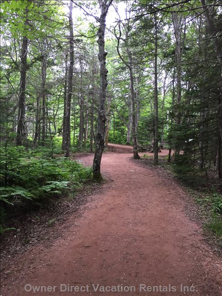  greenwich pe vacation rentals vacation rentals canada prince edward island saint peters bay 