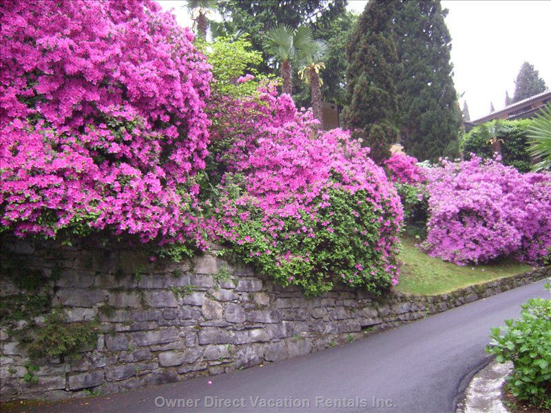  vacation rentals italy lombardia griante via brentano  