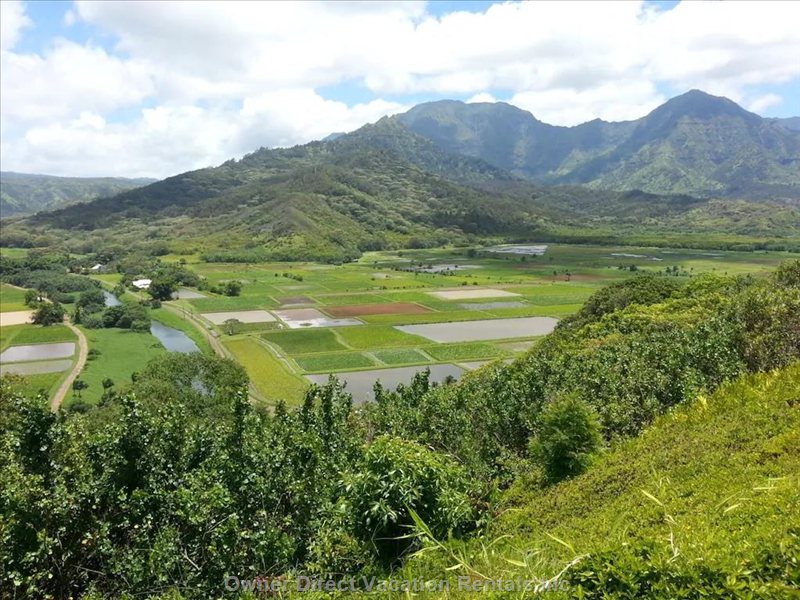  vacation rentals united states hawaii hanalei  a aku road 