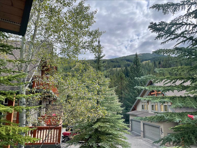  vacation rentals canada british columbia panorama  grey wolf drive 