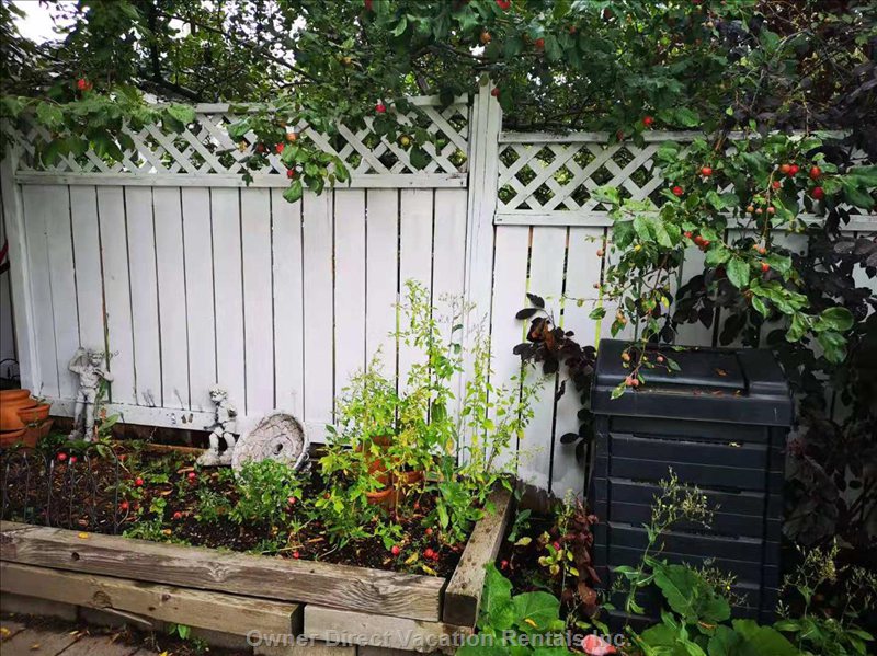  vacation rentals canada alberta calgary   street southwest 
