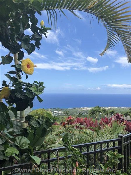  area b vacation rentals vacation rentals united states hawaii kailua kona 