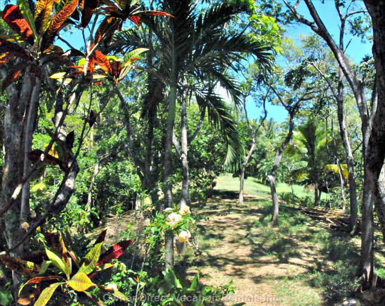  west end vacation rentals vacation rentals honduras bay islands department west end 