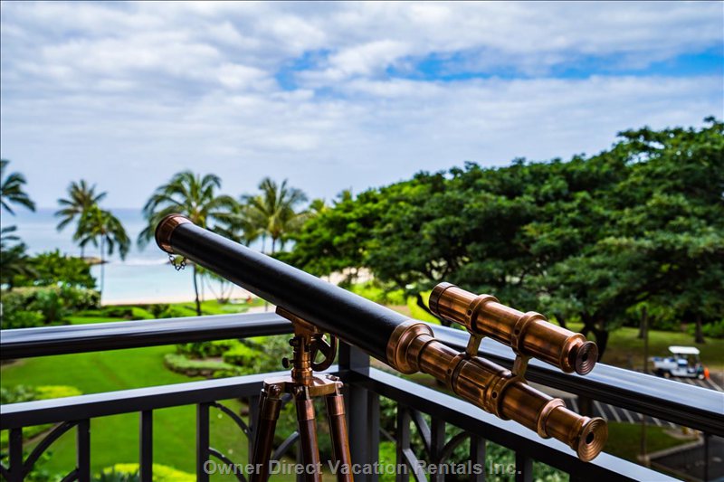  vacation rentals united states hawaii kapolei   waialii place 