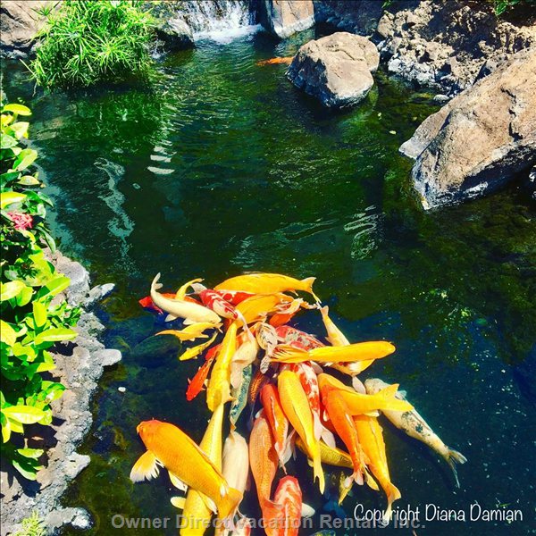  vacation rentals united states hawaii kapolei   waialii place 