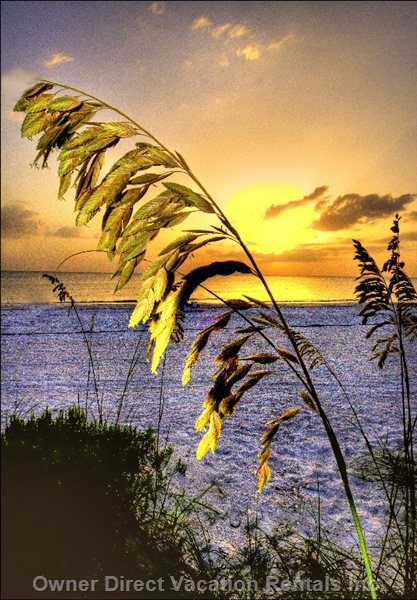  vacation rentals united states florida indian shores  gulf blvd 