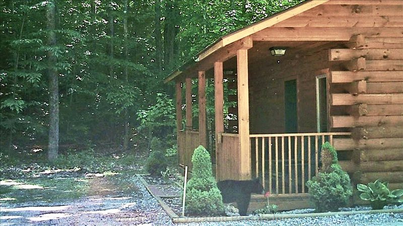  intervale vacation rentals vacation rentals united states new hampshire intervale 