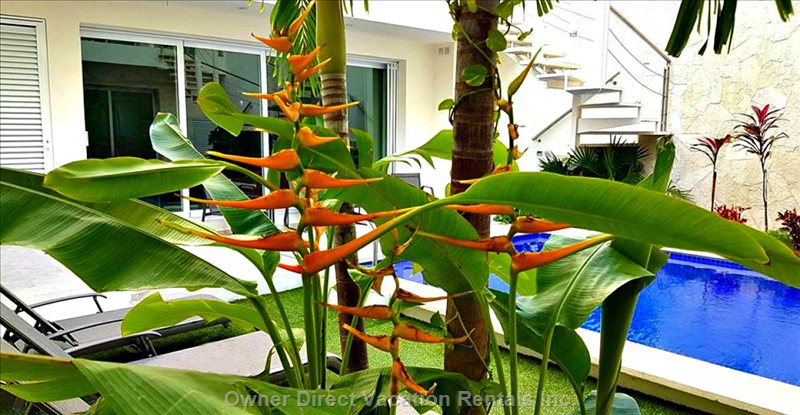  vacation rentals mexico quintana roo isla mujeres  av juarez 