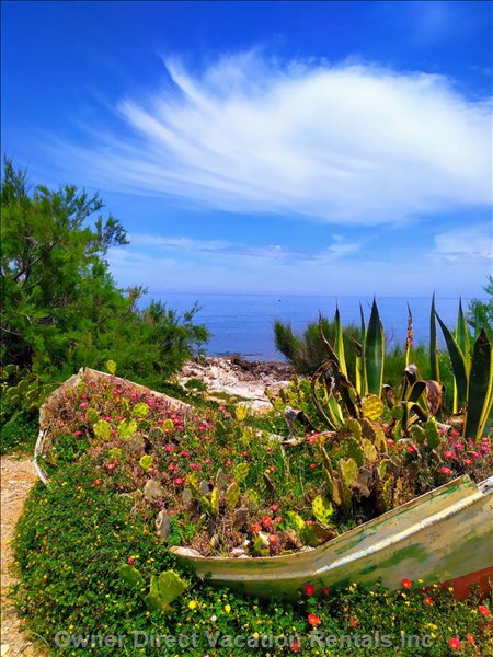  vacation rentals italy sicilia palermo via dammuso 