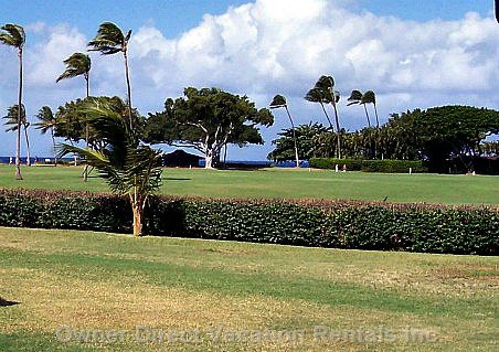  vacation rentals united states hawaii lahaina  kekaa drive 