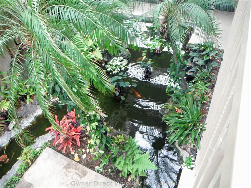  vacation rentals united states hawaii kailua kona   alii drive 