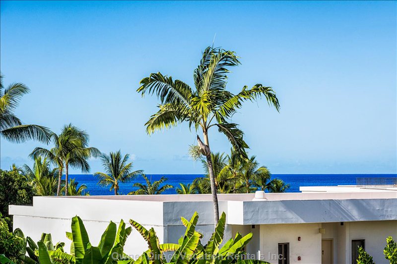  royal sea cliff vacation rentals vacation rentals united states hawaii kailua kona 