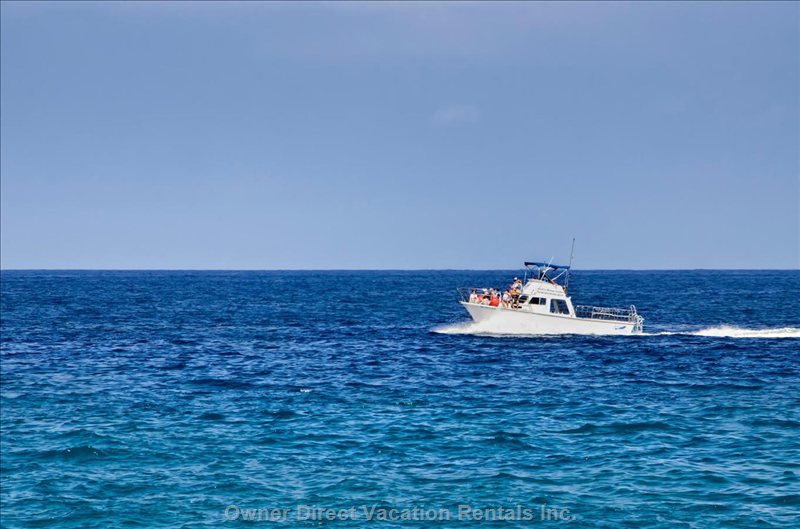  royal sea cliff vacation rentals vacation rentals united states hawaii kailua kona 