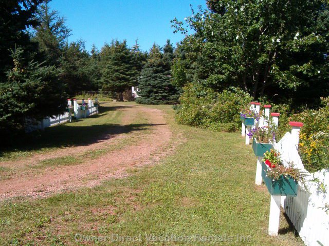  kildare capes vacation rentals vacation rentals canada prince edward island tignish 