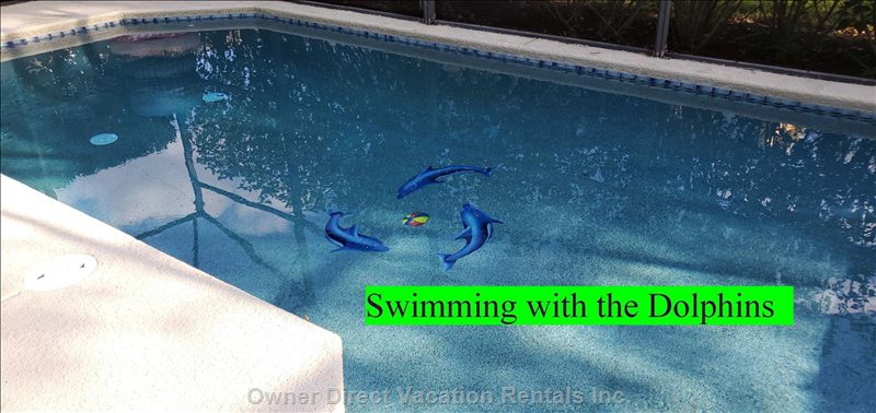  vacation rentals united states florida kissimmee  sunrise key drive 
