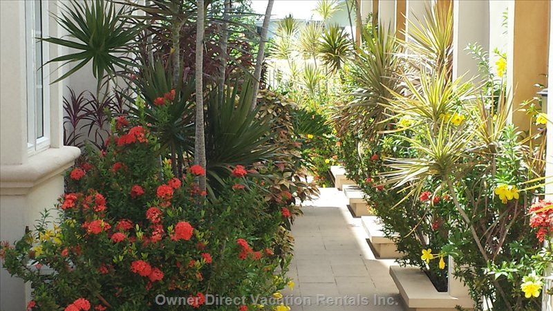  vacation rentals grenada saint george saint georges gramillions way lance aux epines 
