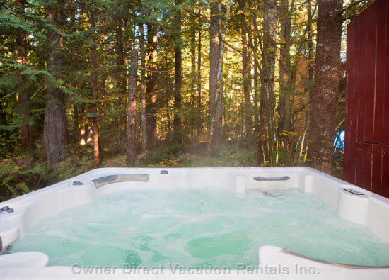  vacation rentals united states washington deming glacier rim drive 
