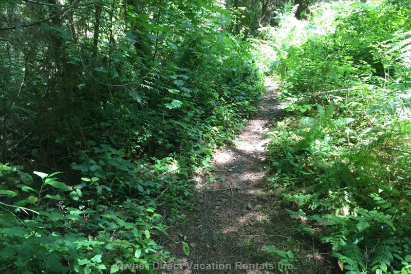  vacation rentals united states washington deming glacier rim drive 