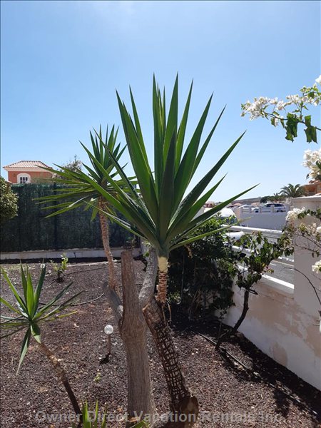  vacation rentals spain canarias antigua avenue angel hove 