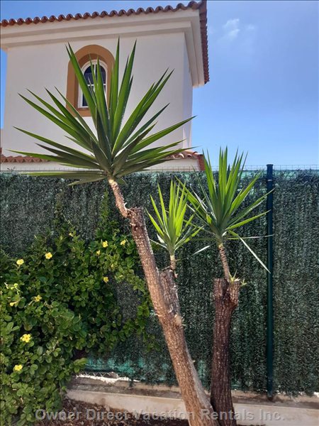  vacation rentals spain canarias antigua avenue angel hove 
