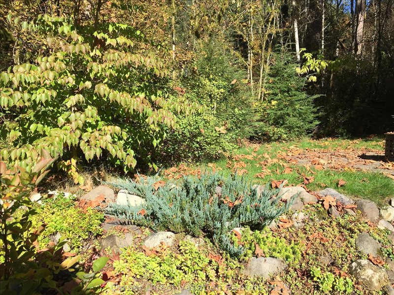 Deming, WA, Cabin for rent from 477.00 USD