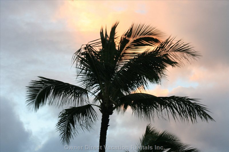  vacation rentals united states hawaii wailuku  hauoli road 