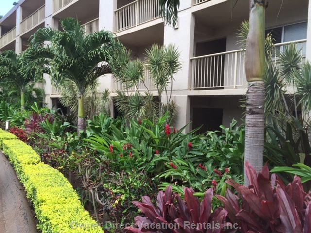  maalaea kai vacation rentals vacation rentals united states hawaii wailuku 