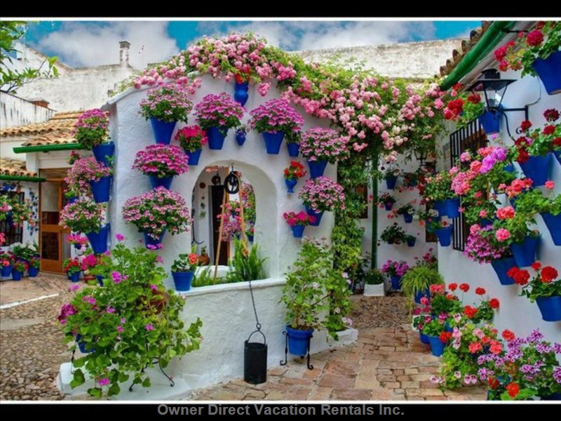  vacation rentals spain andaluca marbella calle aries  