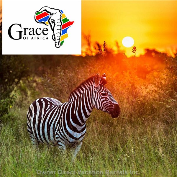  marloth park vacation rentals vacation rentals south africa mpumalanga marloth park 