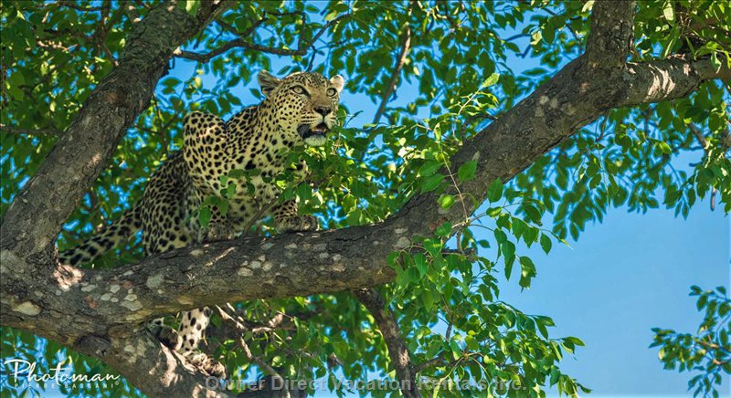  marloth park vacation rentals vacation rentals south africa mpumalanga marloth park 