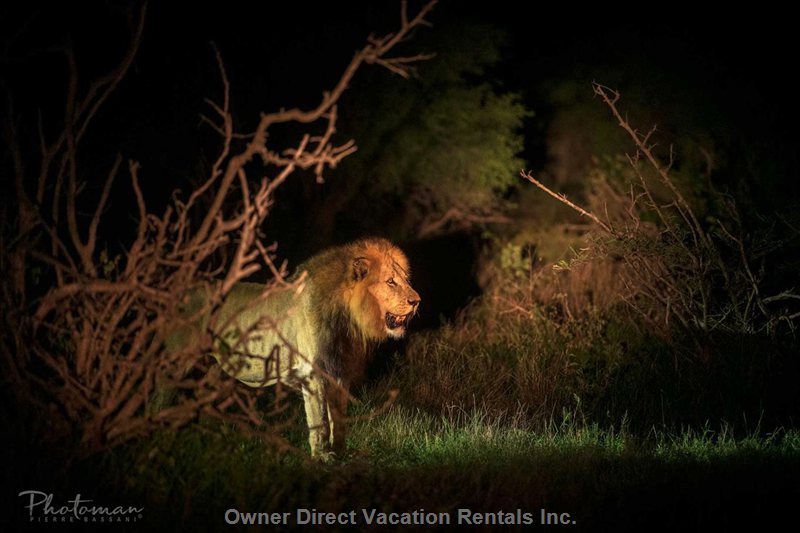  marloth park vacation rentals vacation rentals south africa mpumalanga marloth park 