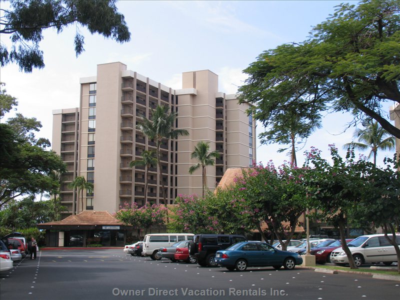  valley isle vacation rentals vacation rentals united states hawaii lahaina 