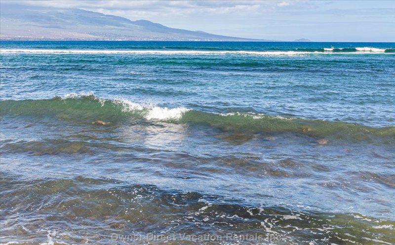  milowai vacation rentals vacation rentals united states hawaii wailuku 