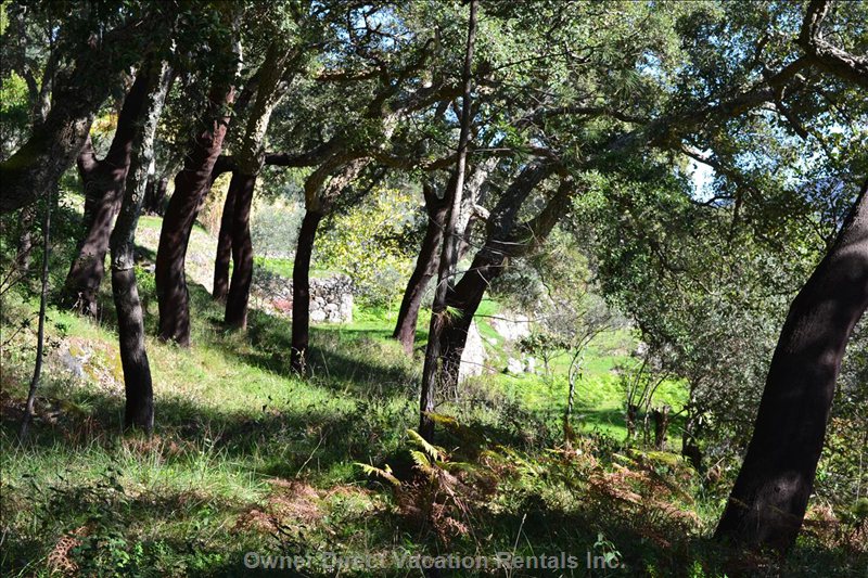  monchique vacation rentals vacation rentals portugal faro monchique 