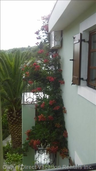  sutomore vacation rentals vacation rentals montenegro bar municipality sutomore 