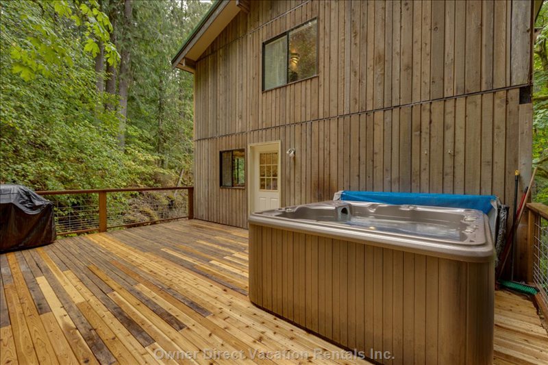  vacation rentals united states washington deming baker circle 